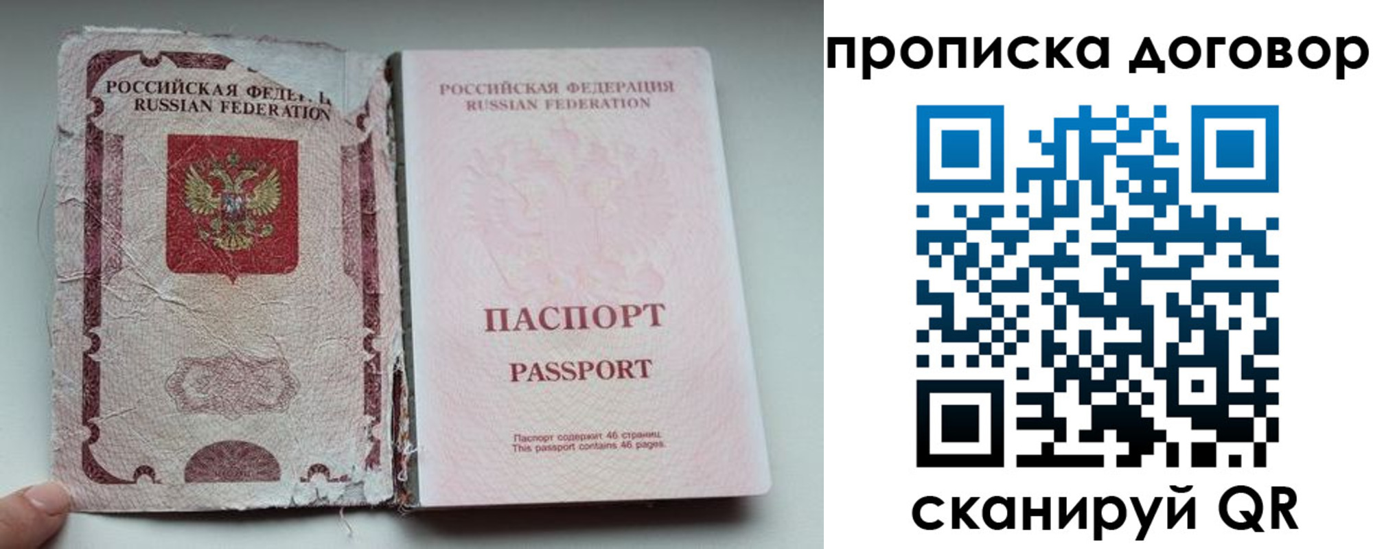 прописка поиск в Снежногорске